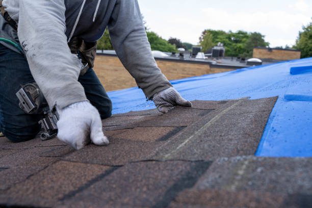 Best Roof Gutter Cleaning  in Lawrence, KS